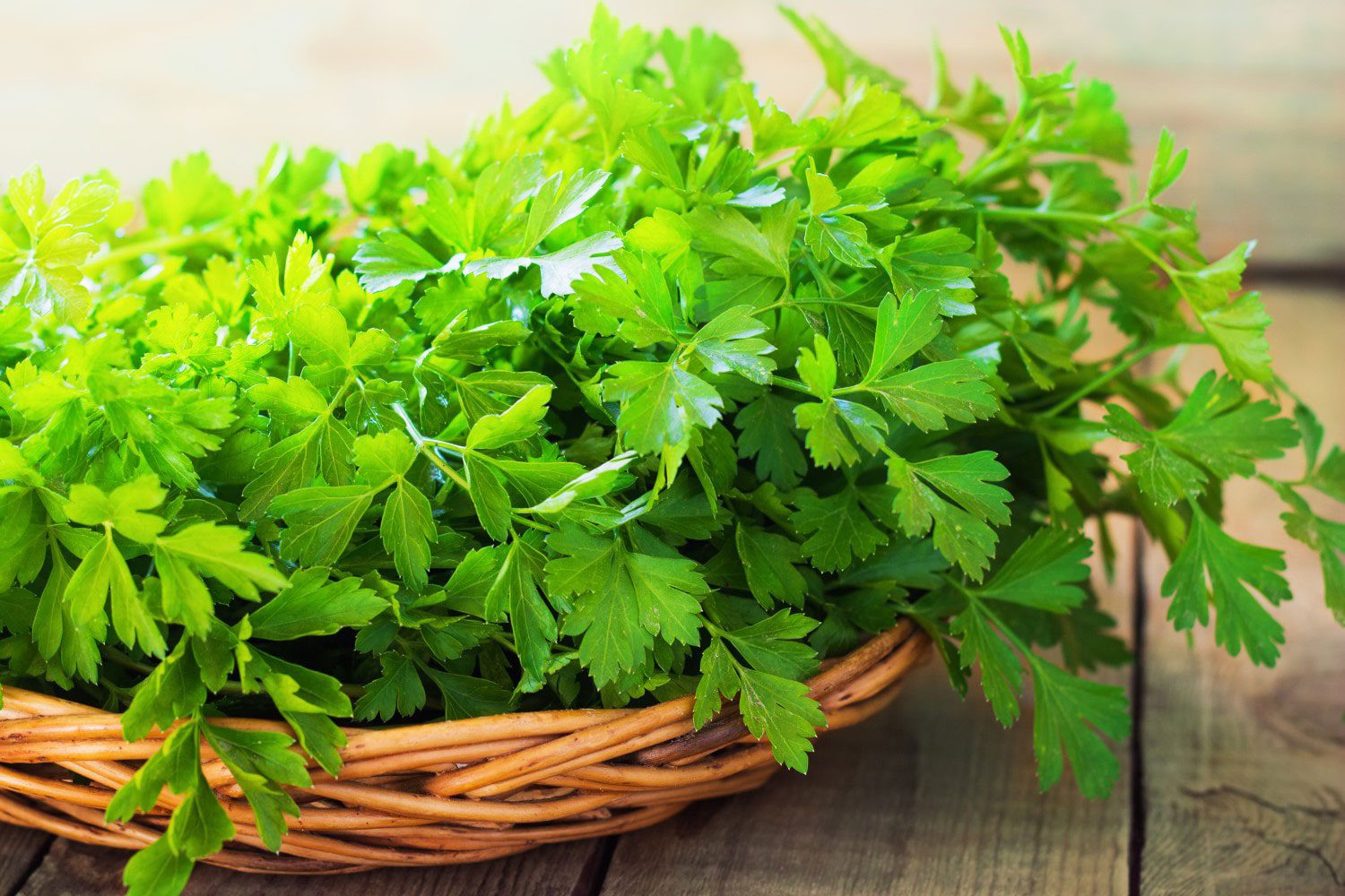 تقویت قوای جنسی با مصرف این نوع سبزی - تصویر اصلی