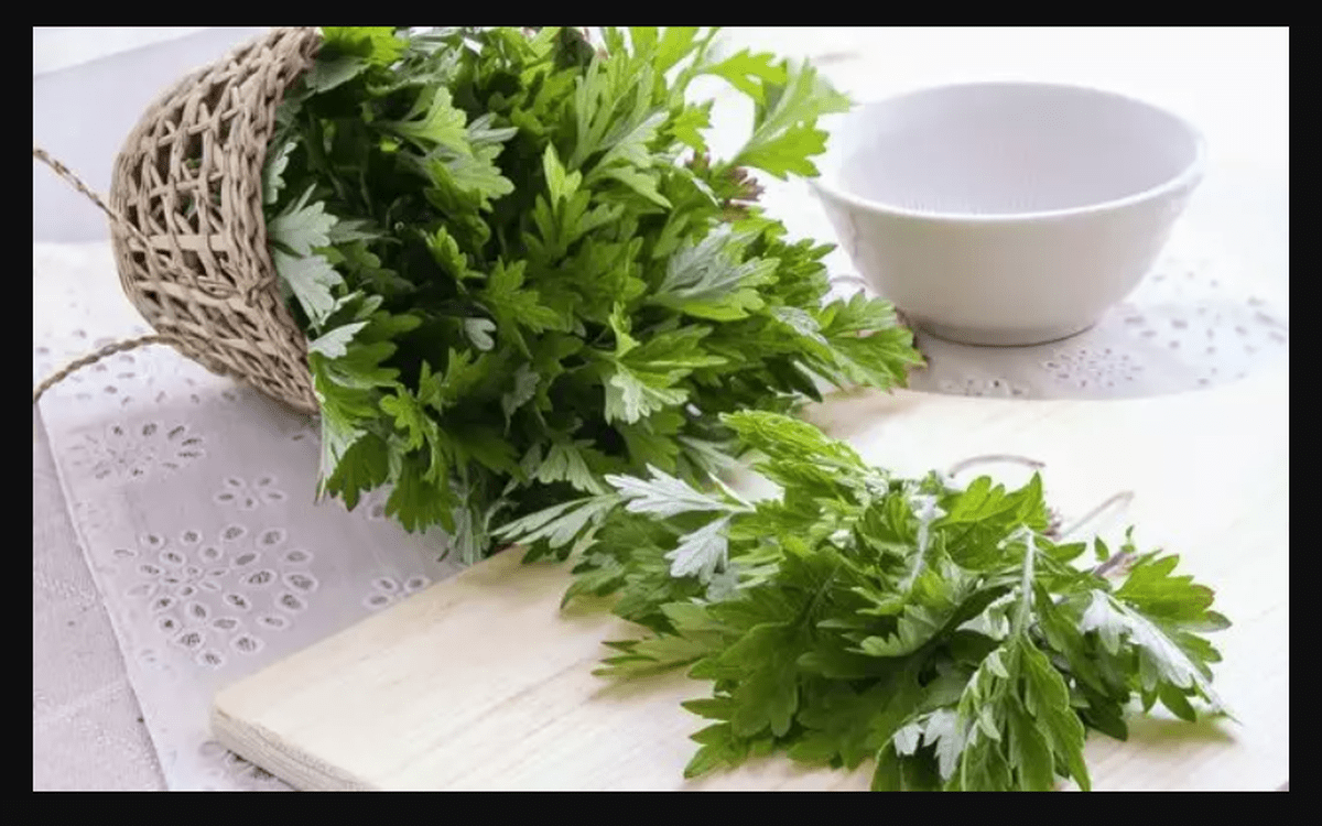 دشمن گیاهیِ سرطان روده بزرگ کشف شد
