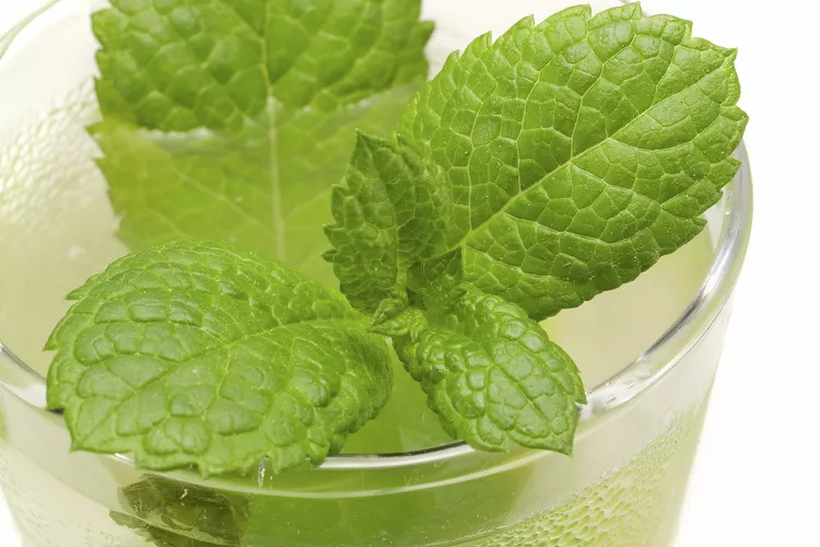 طرز تهیه چای زنجبیل: نوشیدنی گرم برای سلامتی و طعم دلپذیر